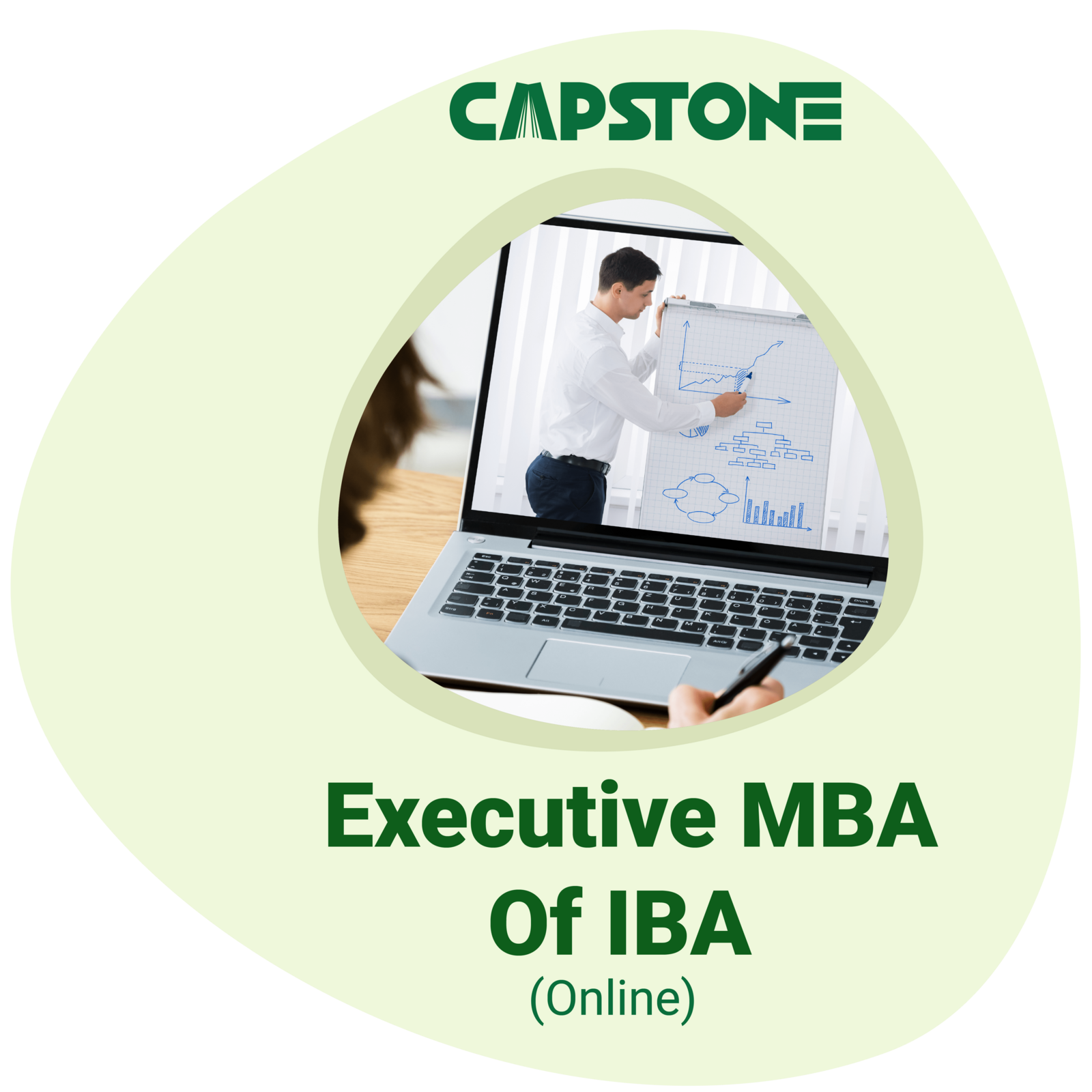 Executive MBA of IBA (Online)